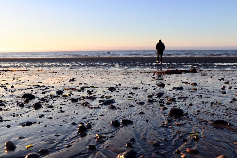 Mindful Walks